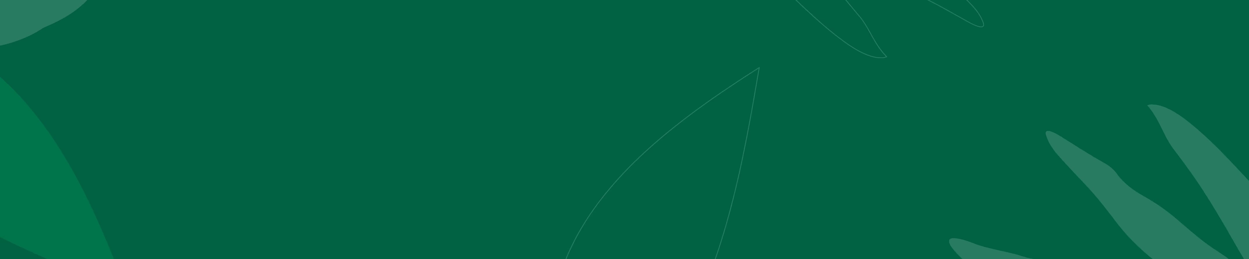 NEO STARBUCKS banner