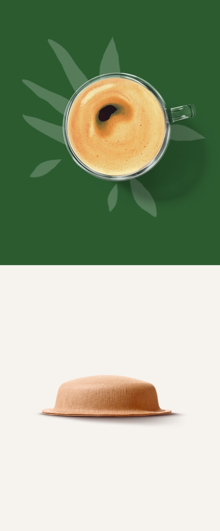 コンポスト可能な紙製ポッドの隣でコーヒーの苗を植える人