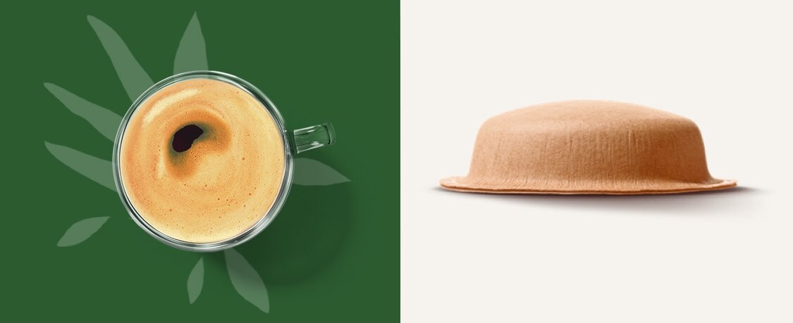 コンポスト可能な紙製ポッドの隣でコーヒーの苗を植える人