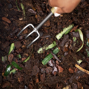 土に穴を掘って生ごみを入れる様子