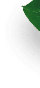 葉の形をした装飾