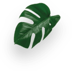 ネスカフェ ドルチェ グスト ネオ スターバックス ブレックファースト ブレンド decoration Image